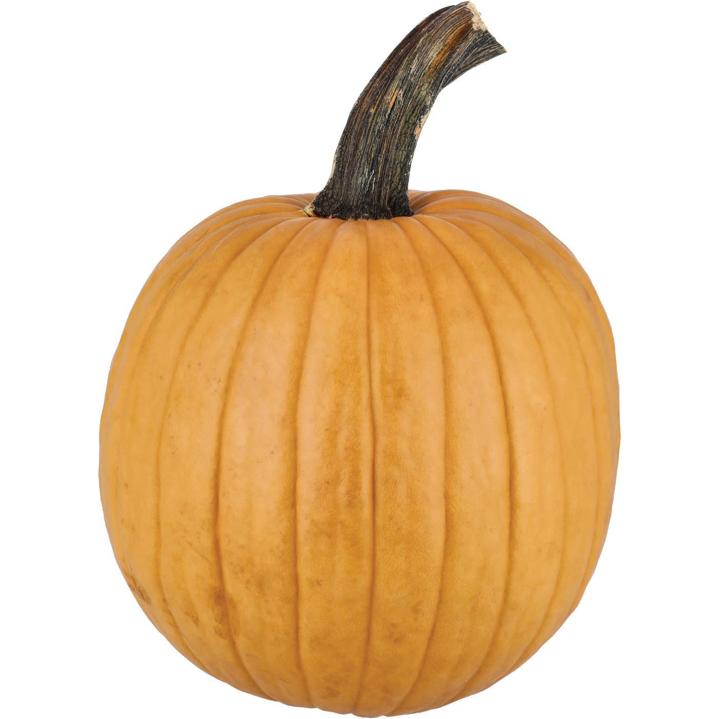 H-E-B Texas Roots Butterscotch Pumpkin; image 1 of 2