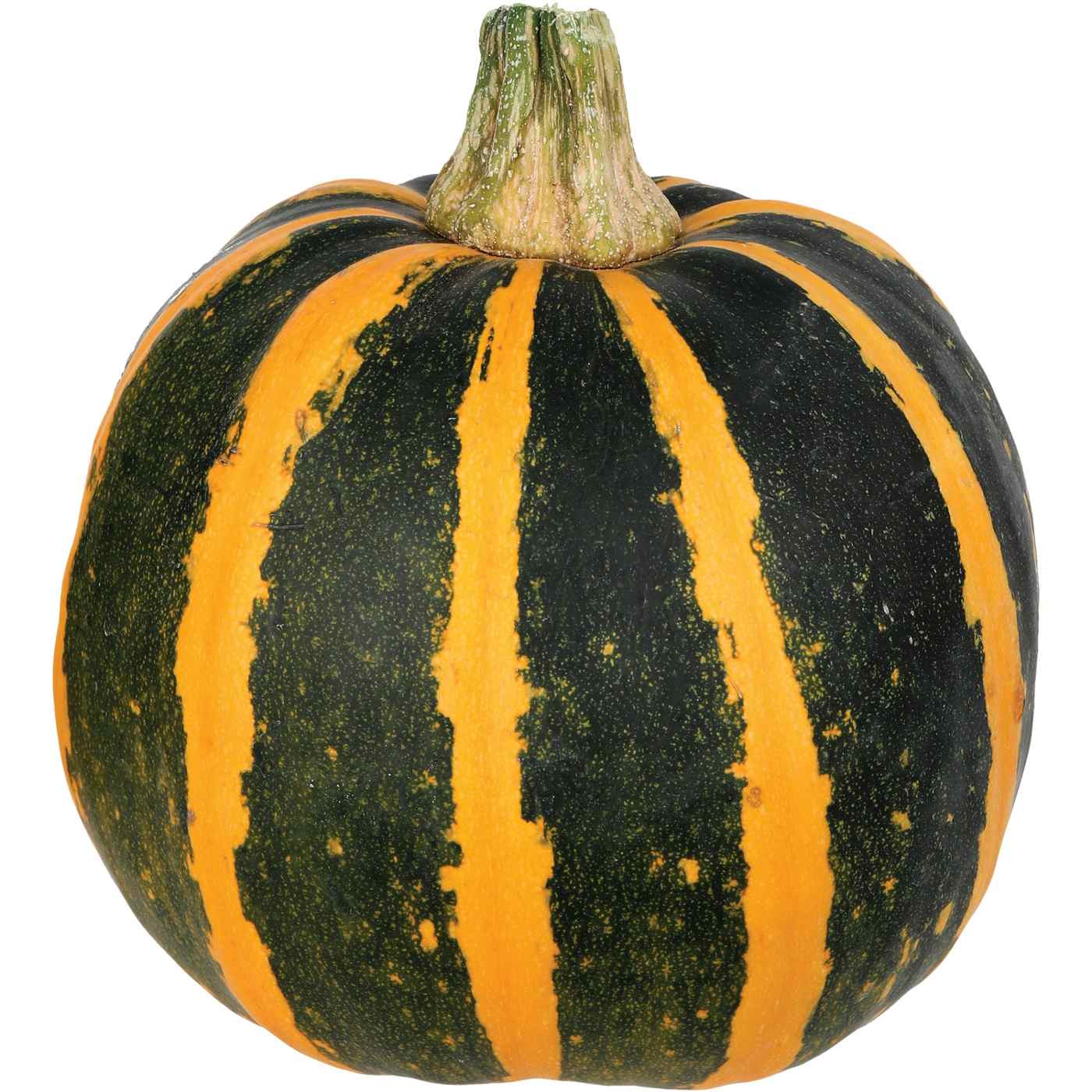 HEB Texas Roots Silver Edge Pumpkin Shop Squash & pumpkins at HEB