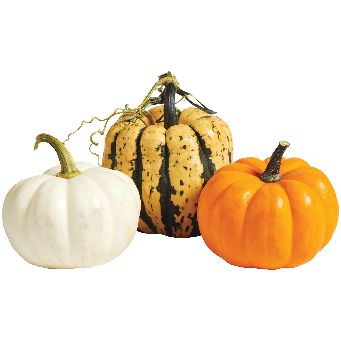 H-E-B Texas Roots Mini 'kins Pumpkin - Shop Squash