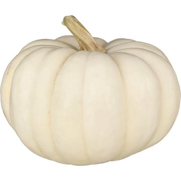H-E-B Texas Roots Mini 'kins Pumpkin