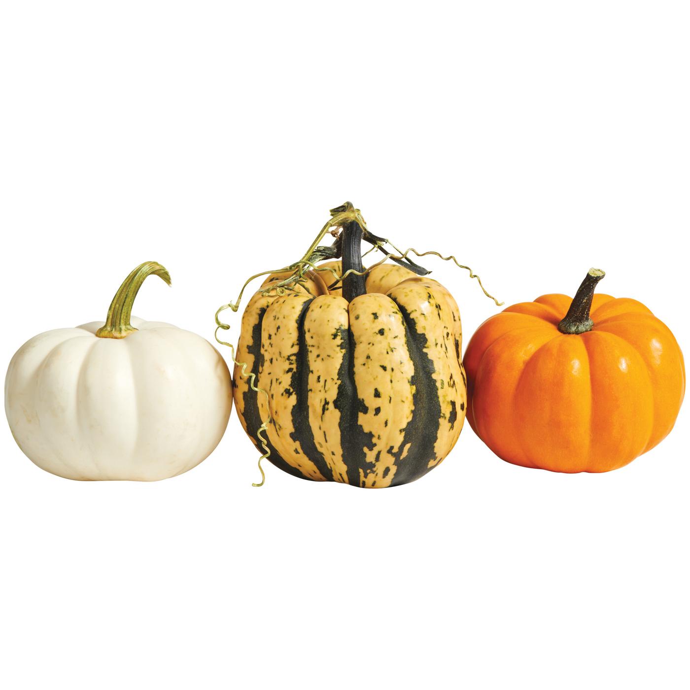 H-E-B Texas Roots Mini 'kins Pumpkin; image 3 of 5