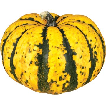 H-E-B Texas Roots Mini 'kins Pumpkin