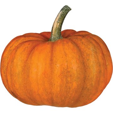 H-E-B Texas Roots Mini 'kins Pumpkin