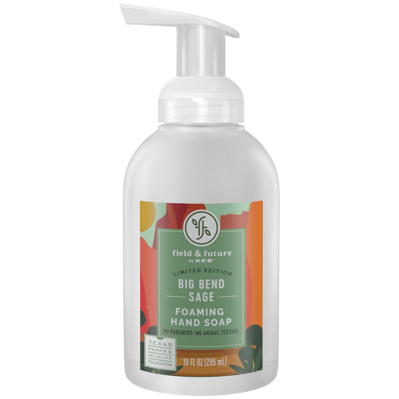 Field & Future by H-E-B Foaming Hand Soap - Big Bend Sage; image 1 of 3