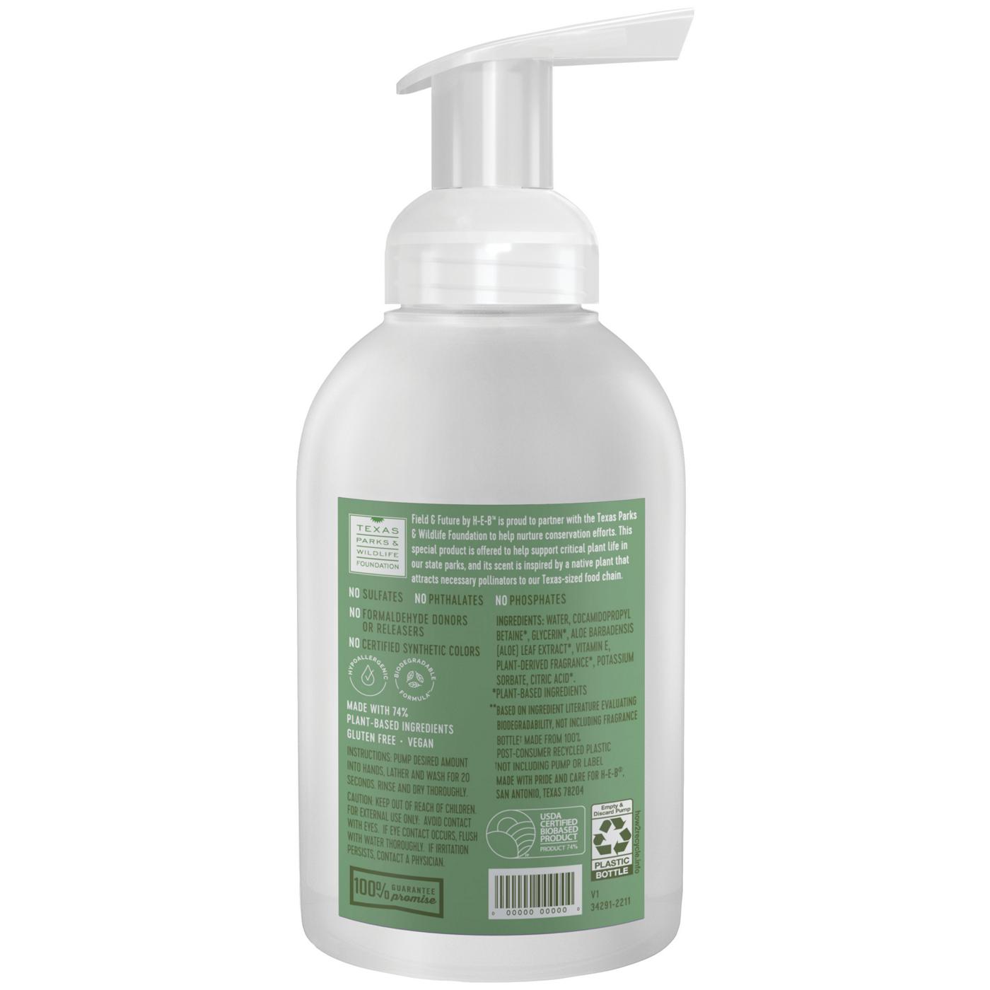 Field & Future by H-E-B Foaming Hand Soap - Big Bend Sage; image 3 of 3