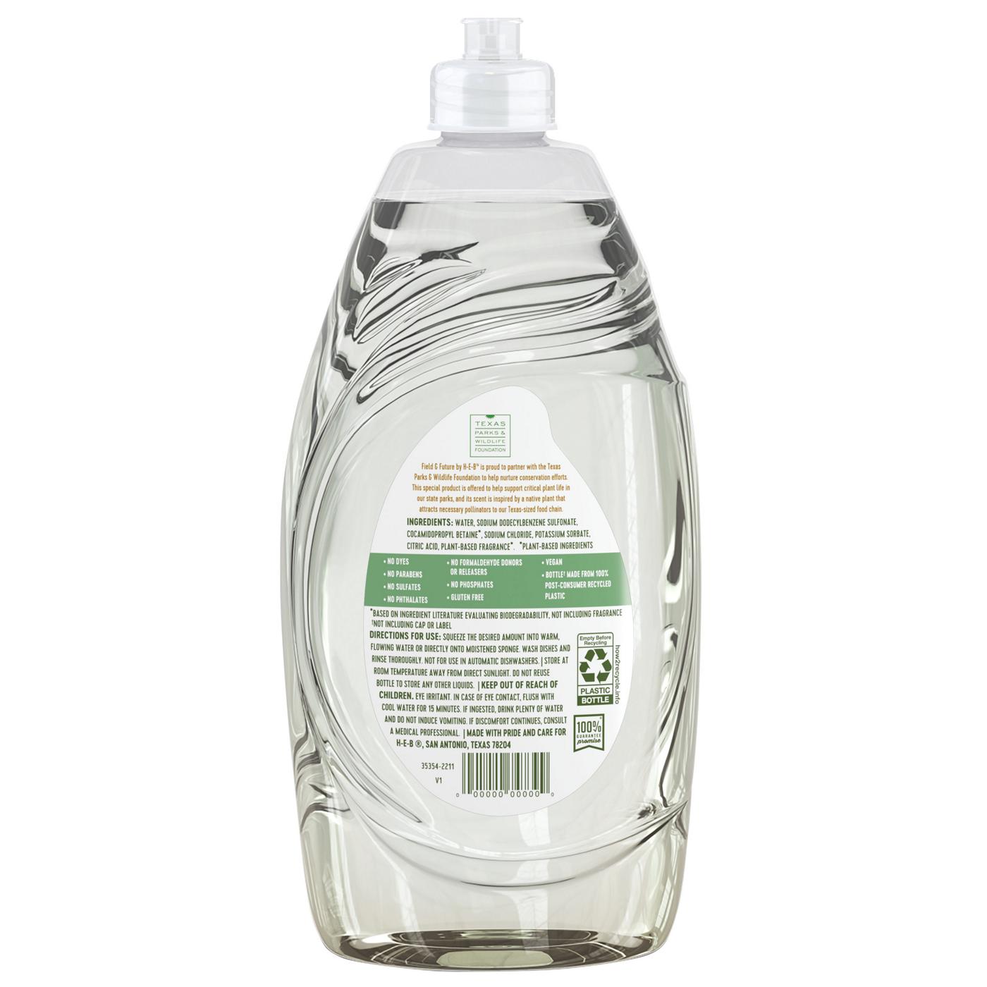 Field & Future by H-E-B Dishwashing Liquid - Big Bend Sage; image 3 of 4