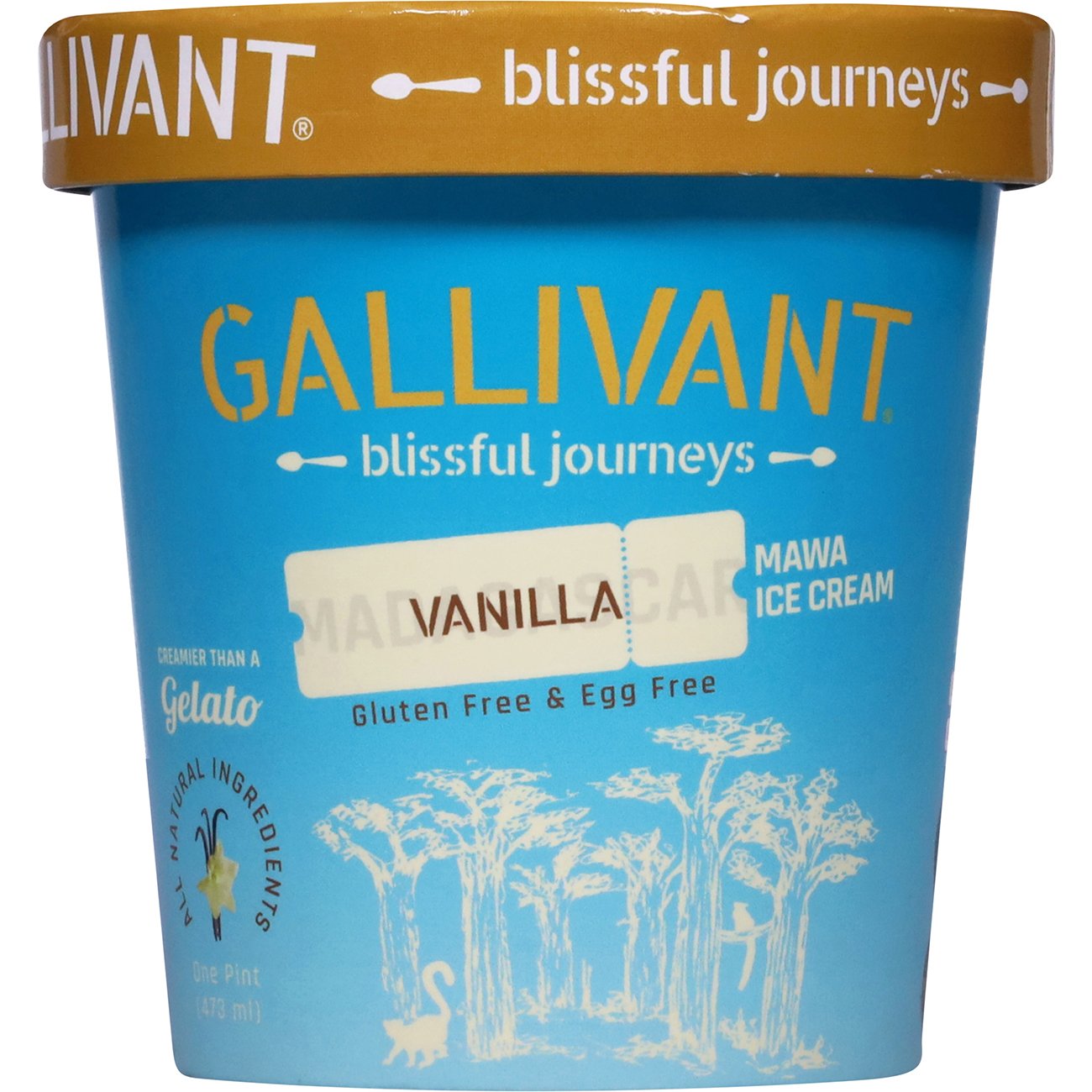 Gallivant Madagascar Vanilla Mawa Ice Cream Shop Ice Cream at HEB