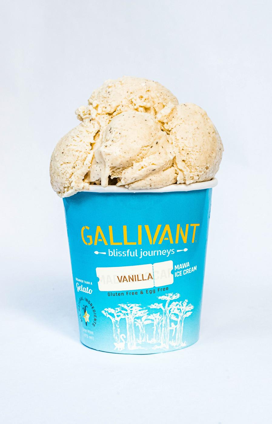 Gallivant Madagascar Vanilla Mawa Ice Cream - Shop Ice cream at H-E-B