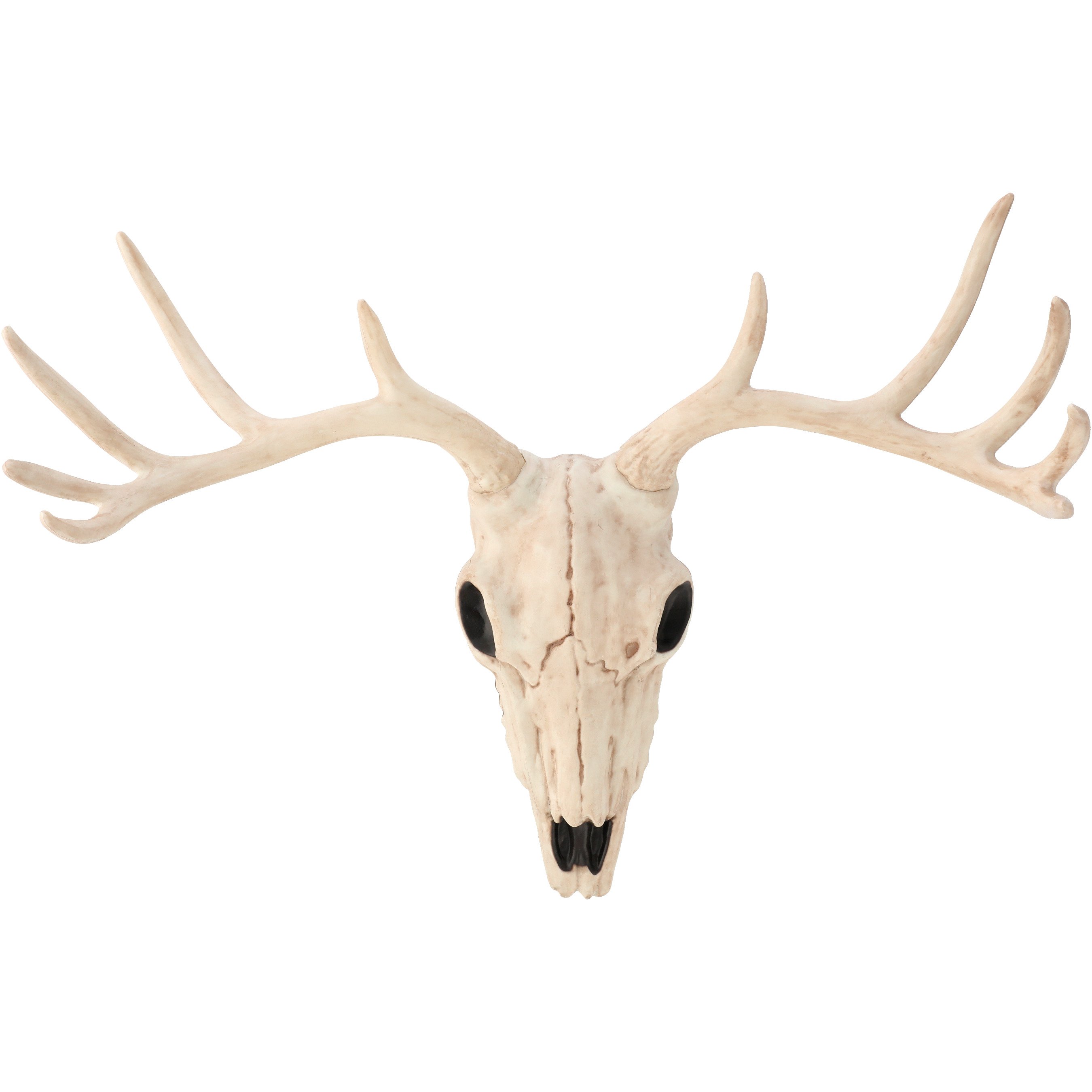 Destination Holiday Reindeer Halloween Skull - Shop Seasonal Decor at H-E-B