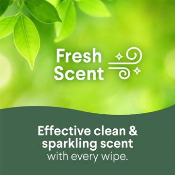 Clorox Disinfecting Bleach Free Cleaning Wipes Value 2 Pack, 75 ct