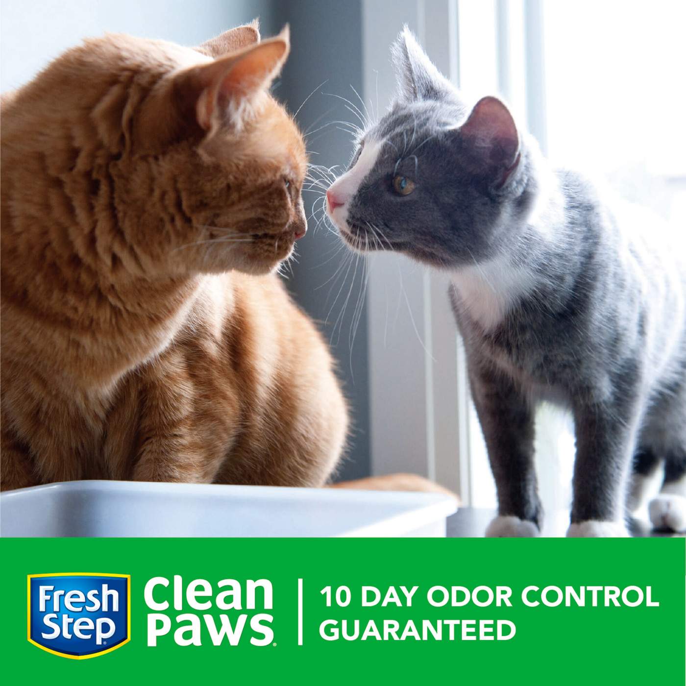 Fresh Step Clean Paws Cat Litter - Clumping Cat Litter With Febreze - Gain Scent; image 4 of 7