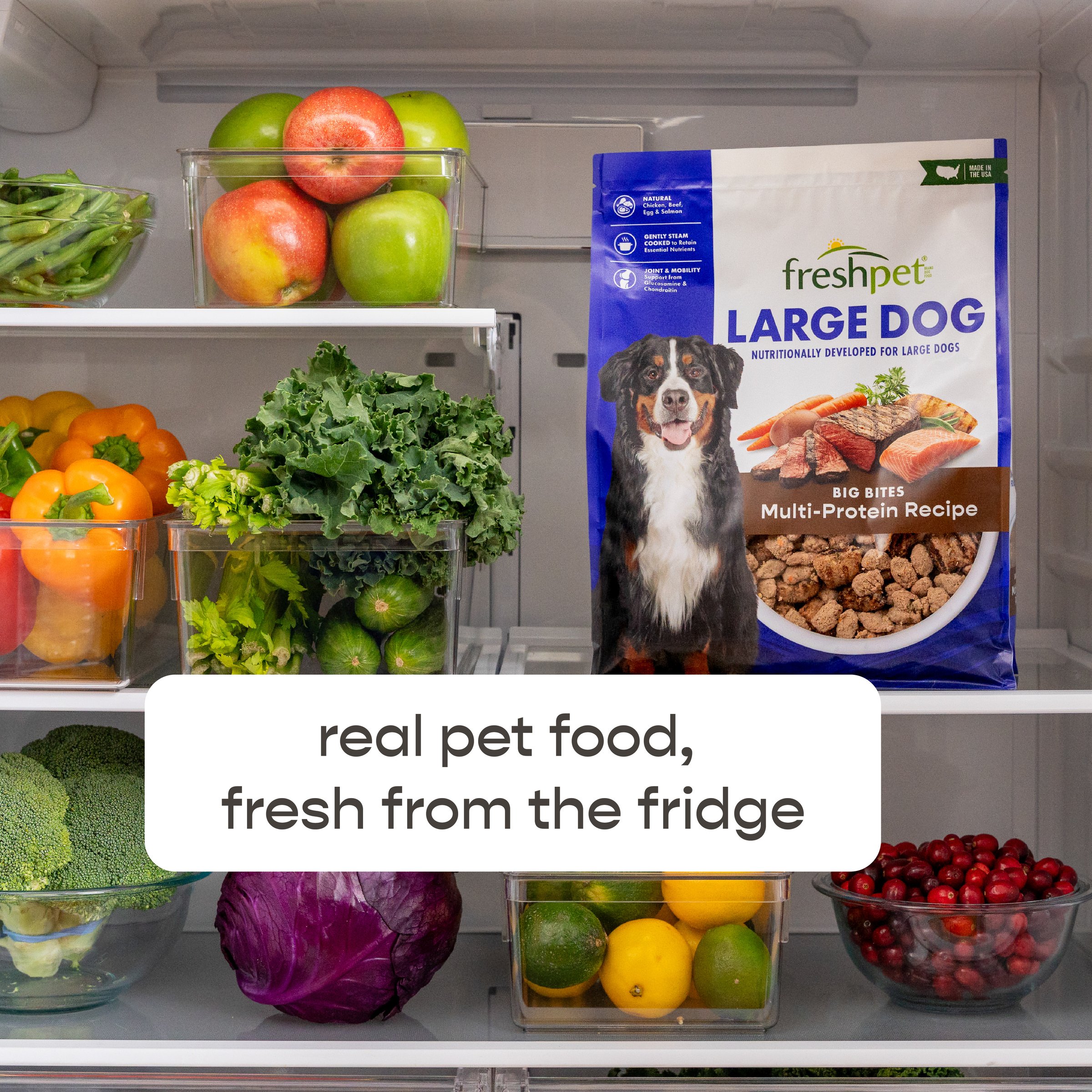 natural balance dog food ingredients Natural Balance Vegetarian Formula Canned Dog Food