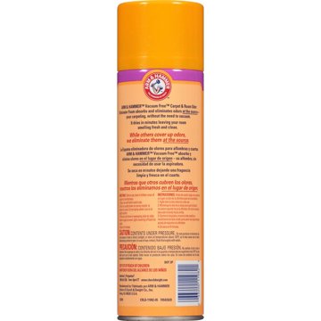 Arm & Hammer Fresh Sensations Carpet & Room Odor Eliminator Vacuum Free Foam - Island Mist, 15 oz