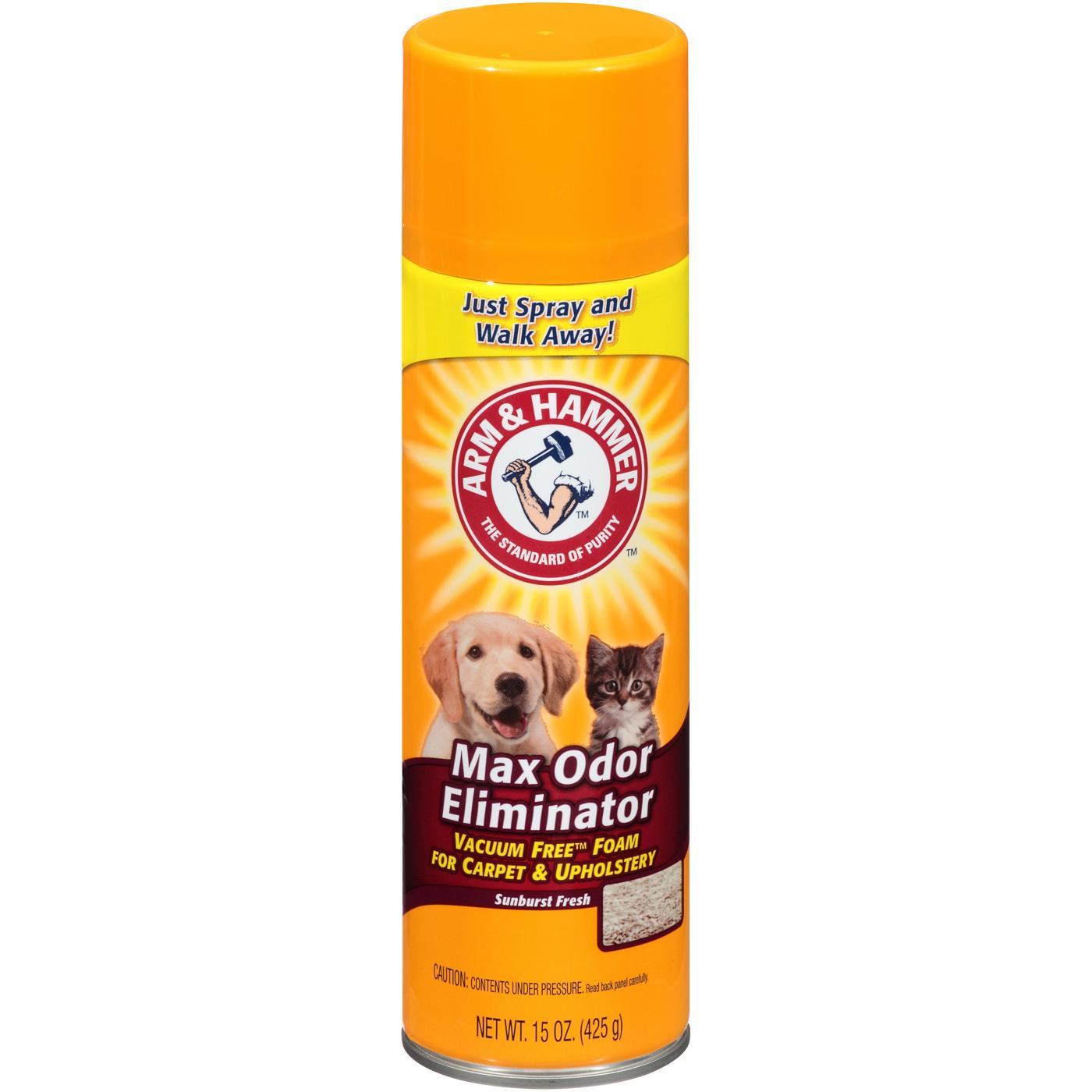 Arm & Hammer Max Odor Eliminator Vacuum Free Foam - Sunburst Fresh; image 1 of 2