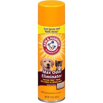Arm & Hammer Max Odor Eliminator Vacuum Free Foam - Sunburst Fresh, 15 oz