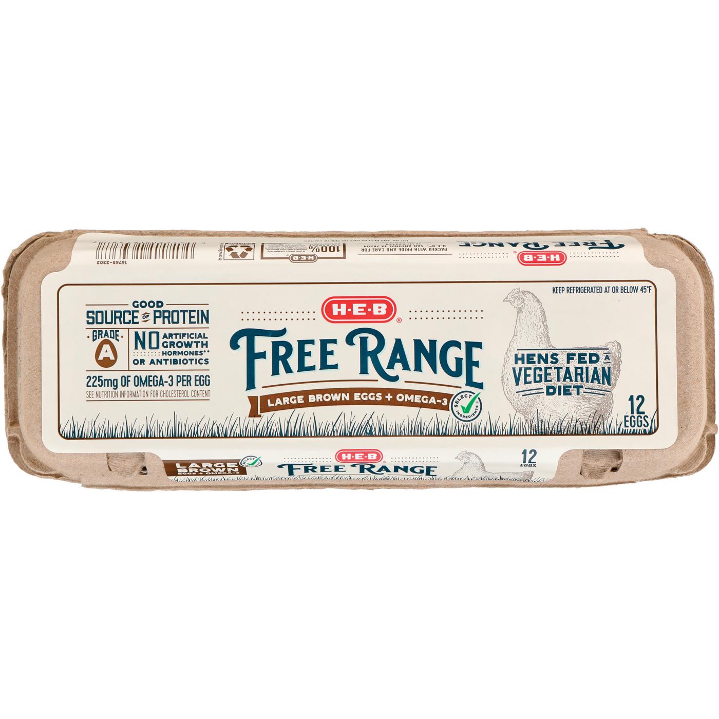 HEB Free Range Omega3 Grade A Large Brown Eggs Shop Eggs & egg