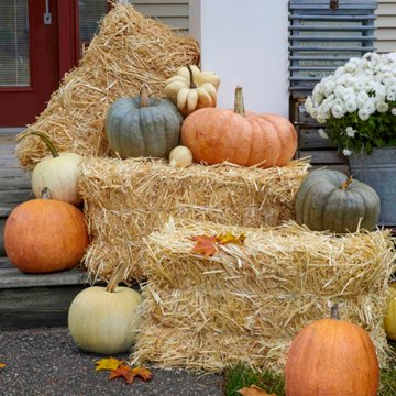 Floracraft Straw Bale, 9.5'' x 12'' x 24''