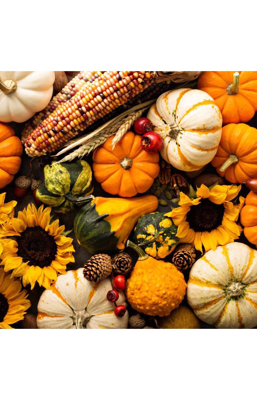 Tuscany Candle Fall Festival Scented Candle Shop Candles at HEB