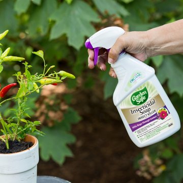 Garden Safe Insecticidal Soap Ready-To-Spray Insect Killer, 32 oz