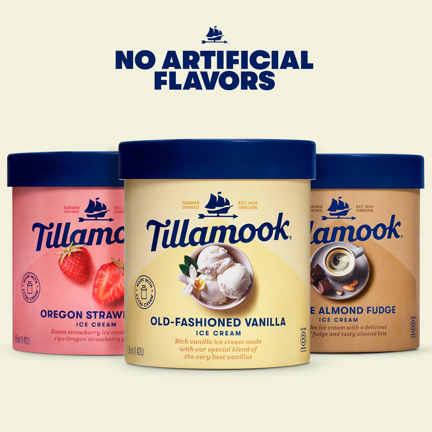 Tillamook Coffee Almond Fudge Ice Cream; image 2 of 5