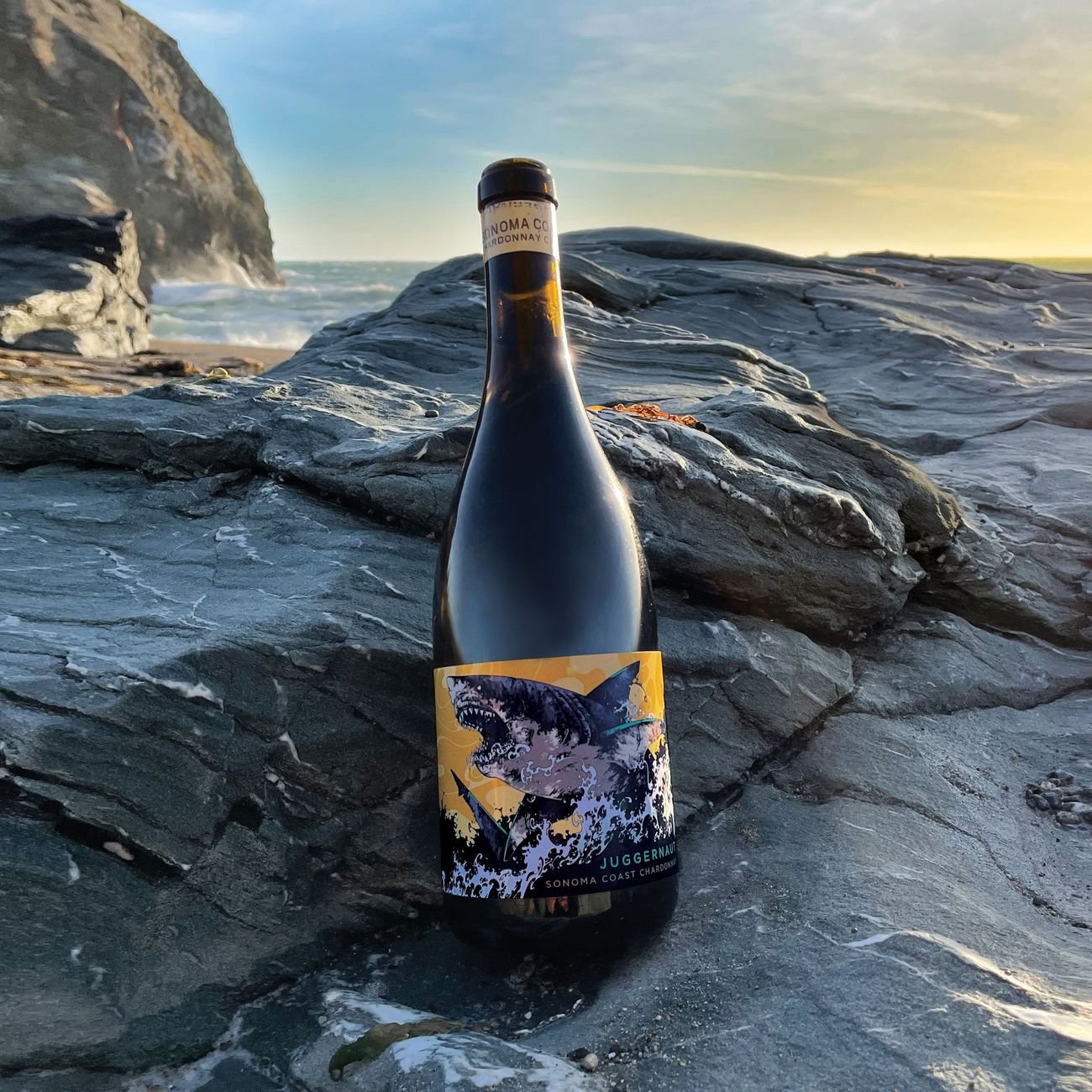 Juggernaut Sonoma Coast Chardonnay - Shop Wine at H-E-B