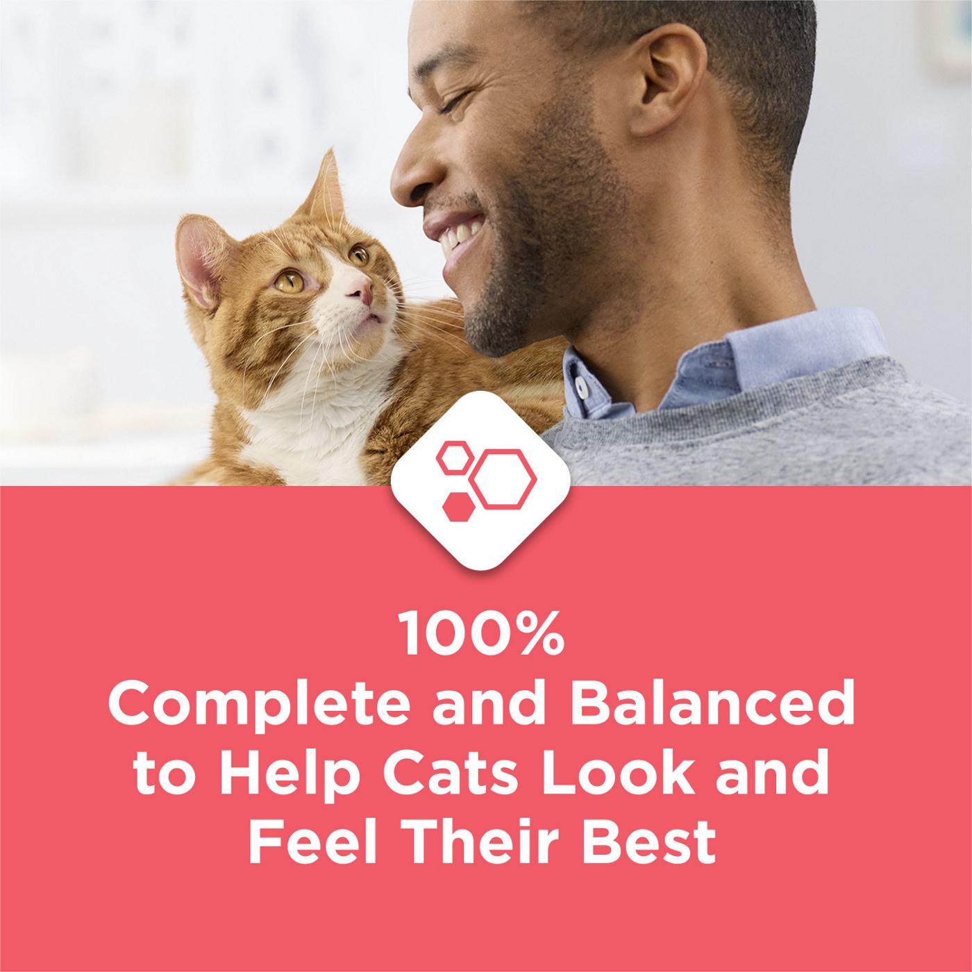 Cat Chow Purina Complete High Protein Dry Cat Food - Real Salmon; image 4 of 11