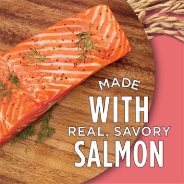 Cat Chow Purina Complete High Protein Dry Cat Food - Real Salmon