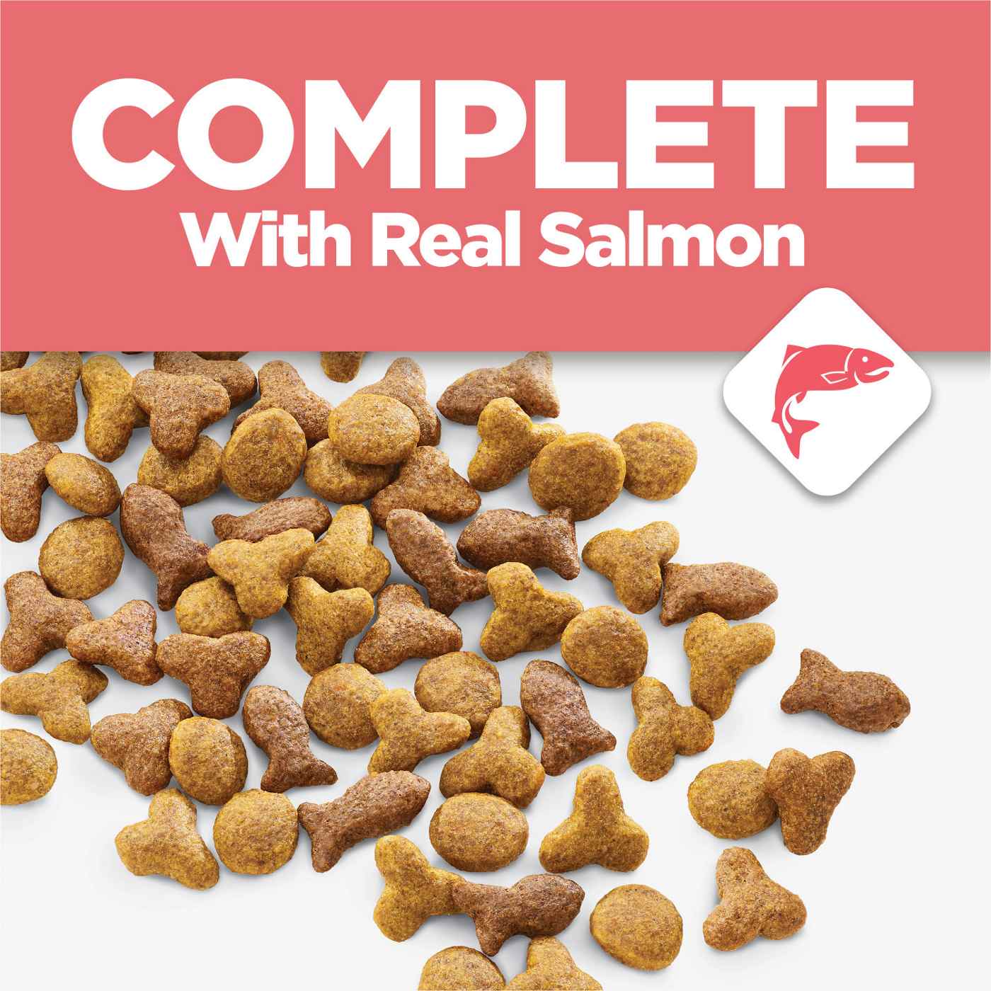 Cat Chow Purina Complete High Protein Dry Cat Food - Real Salmon; image 9 of 11