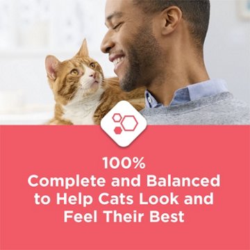 Cat Chow Purina Complete High Protein Dry Cat Food - Real Salmon