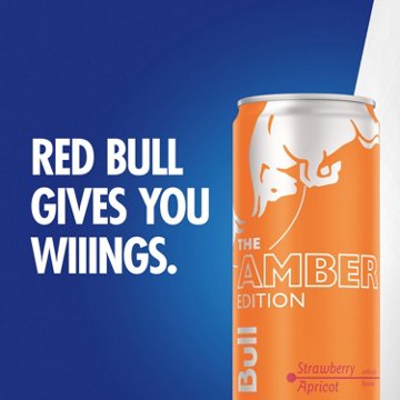 Red Bull Amber Edition Strawberry Apricot Energy Drink 4 pk Cans