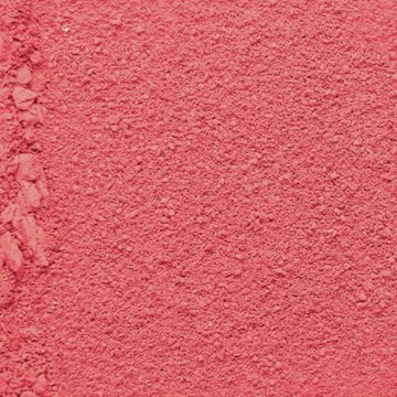 L'Oréal Paris Infallible 24H Fresh Wear Soft Matte Blush - Fearless Coral