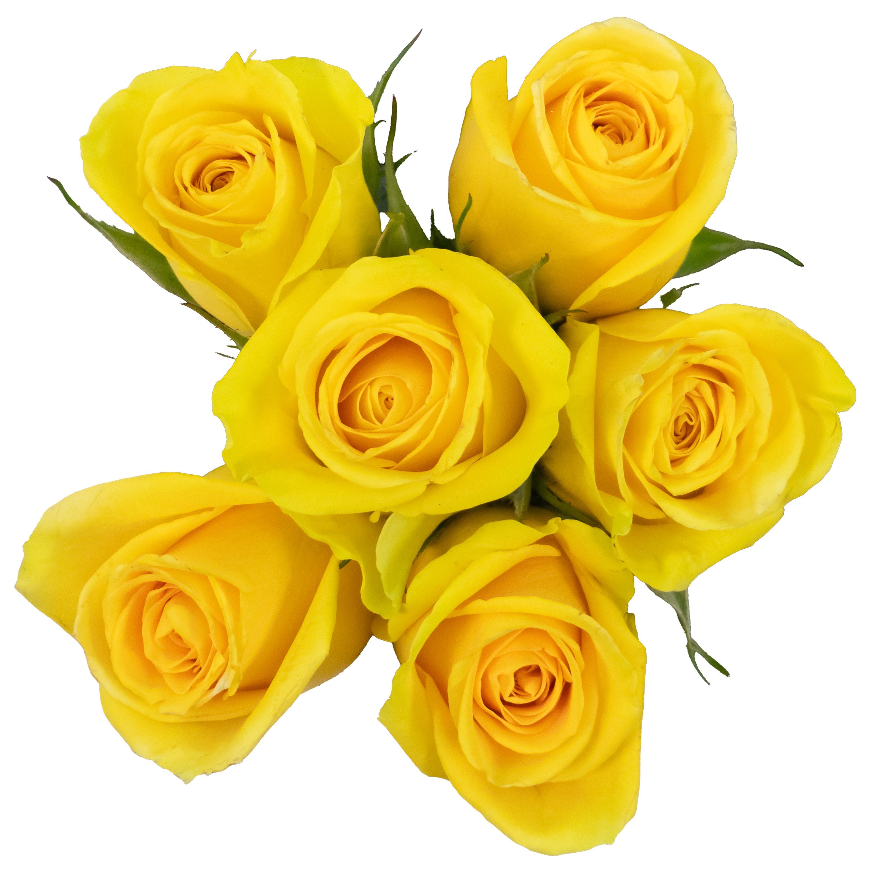 BLOOMS By H-E-B 6-Stem Yellow Roses Flower Bouquet - Shop Flowers ...