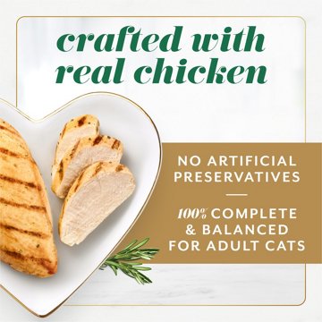 Fancy Feast Purina Gems Pate Cat Food Mousse - Chicken and a Halo of Savory Gravy