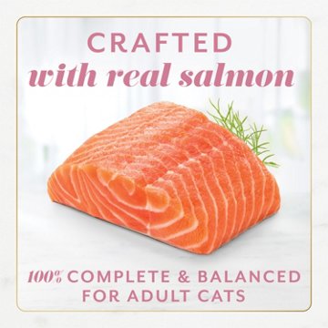 Fancy Feast Purina Gems Pate Cat Food Mousse - Salmon and a Halo of Savory Gravy