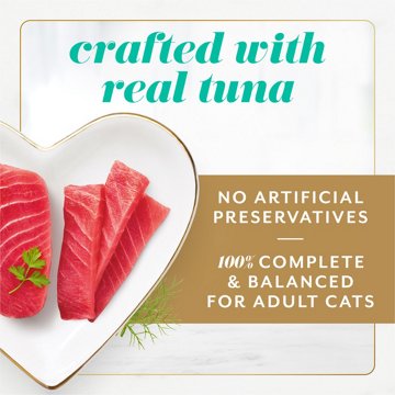 Fancy Feast Purina Gems Pate Cat Food Mousse - Tuna and a Halo of Savory Gravy, 4 oz