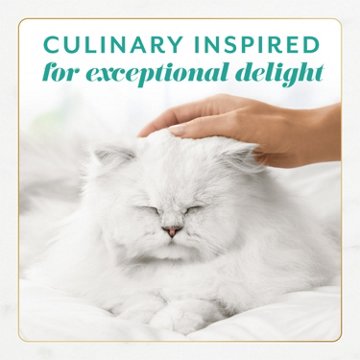 Fancy Feast Purina Gems Pate Cat Food Mousse - Tuna and a Halo of Savory Gravy, 4 oz