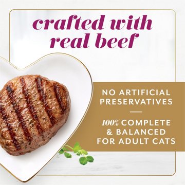 Fancy Feast Purina Gems Pate Cat Food Mousse - Beef and a Halo of Savory Gravy