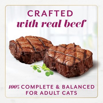 Fancy Feast Purina Gems Pate Cat Food Mousse - Beef and a Halo of Savory Gravy