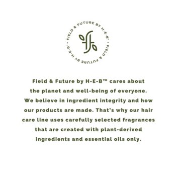 Field & Future by H-E-B Lightweight Dry Shampoo - Coconut