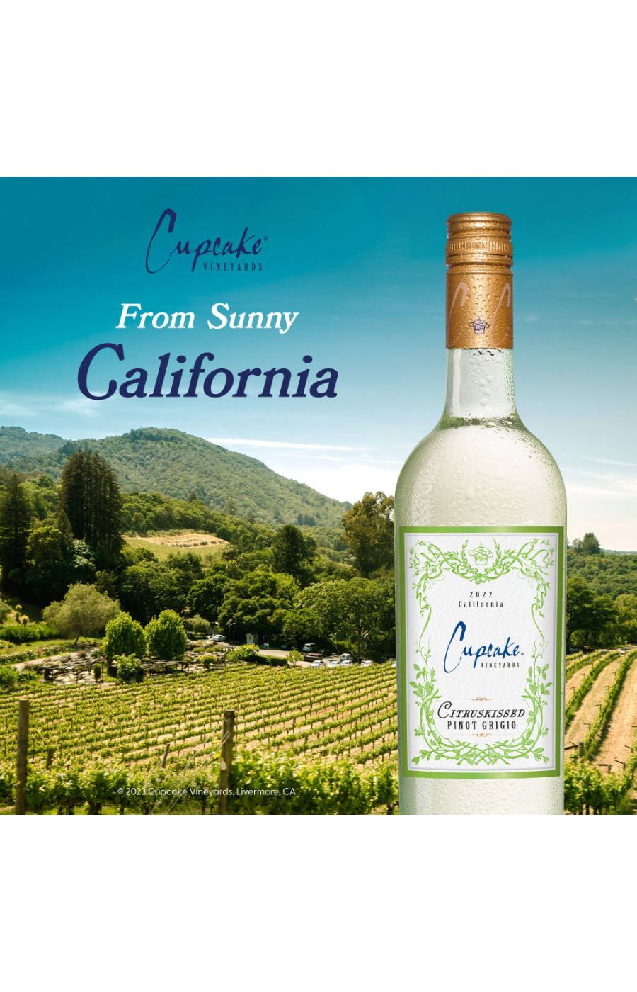 Cupcake Vineyards Citruskissed Pinot Grigio California White Wine; image 7 of 9