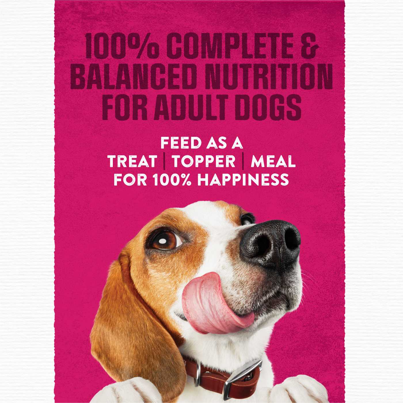 Moist & Meaty Purina Moist and Meaty Steak Flavor Soft Dog Food Pouches; image 3 of 3