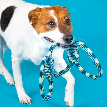 Woof & Whiskers 3 Loop Rope Dog Toy