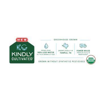 H-E-B Kindly Cultivated Fresh Organic Green Leaf Lettuce , 4 oz