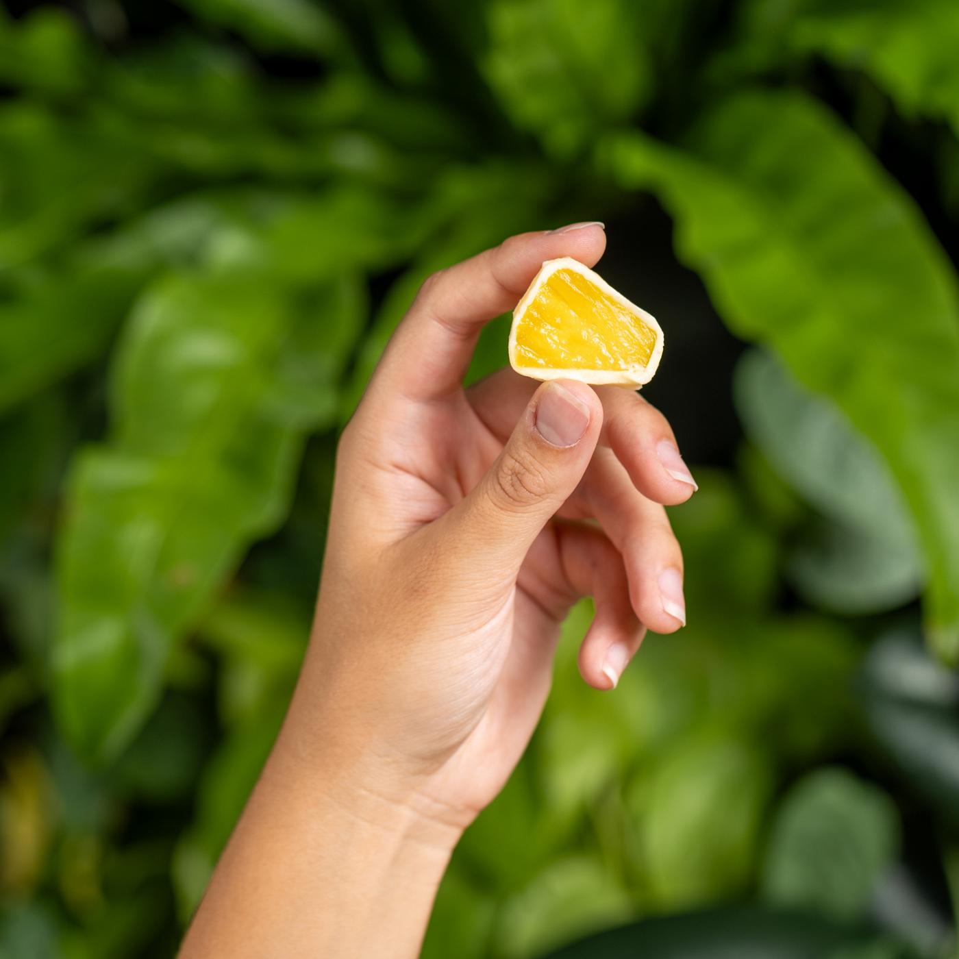 Tru Fru Frozen Pineapple - White Chocolate + Coconut; image 2 of 7