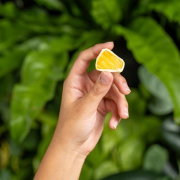 Tru Fru Frozen Pineapple - White Chocolate + Coconut, 8 oz