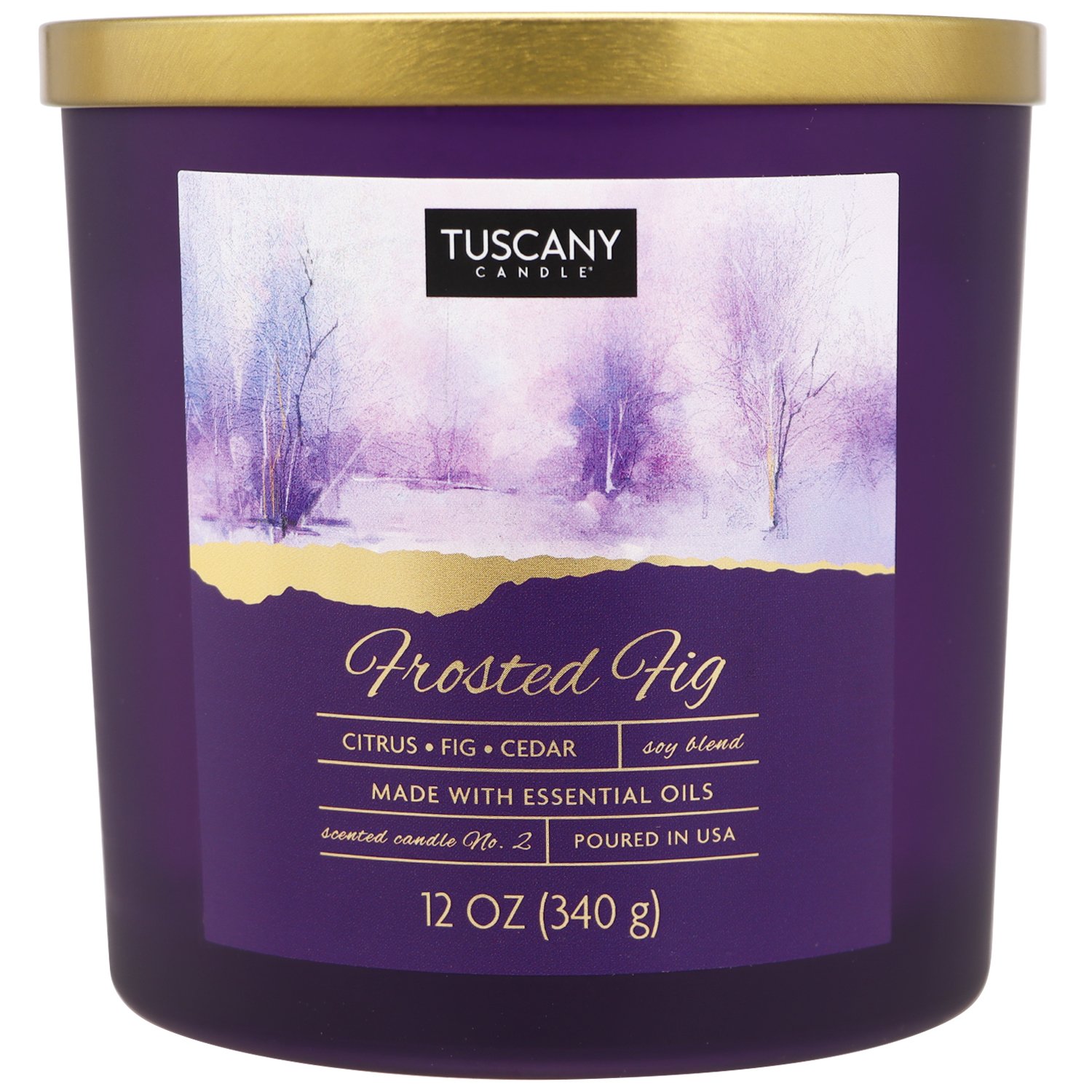 Tuscany Candle Frosted Fig Scented Soy Candle Shop Candles at HEB