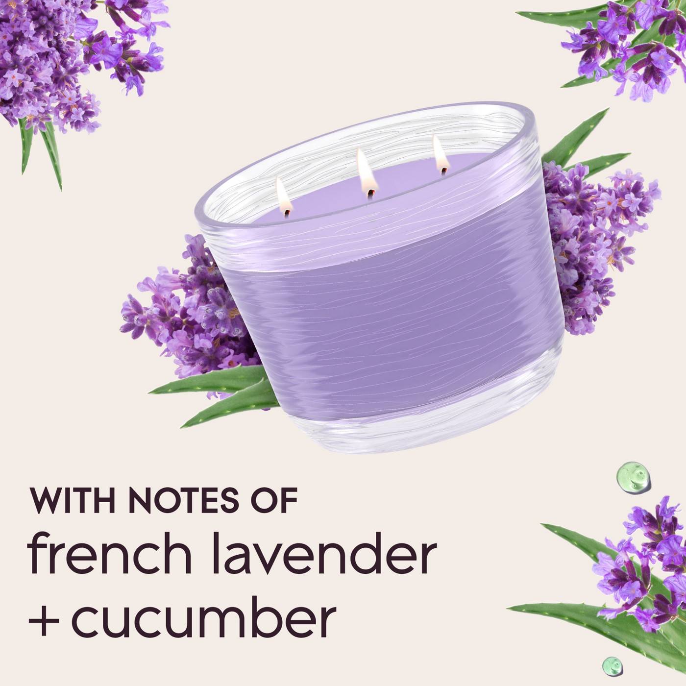 Glade Tranquil Lavender & Aloe 3 Wick Candle; image 6 of 11