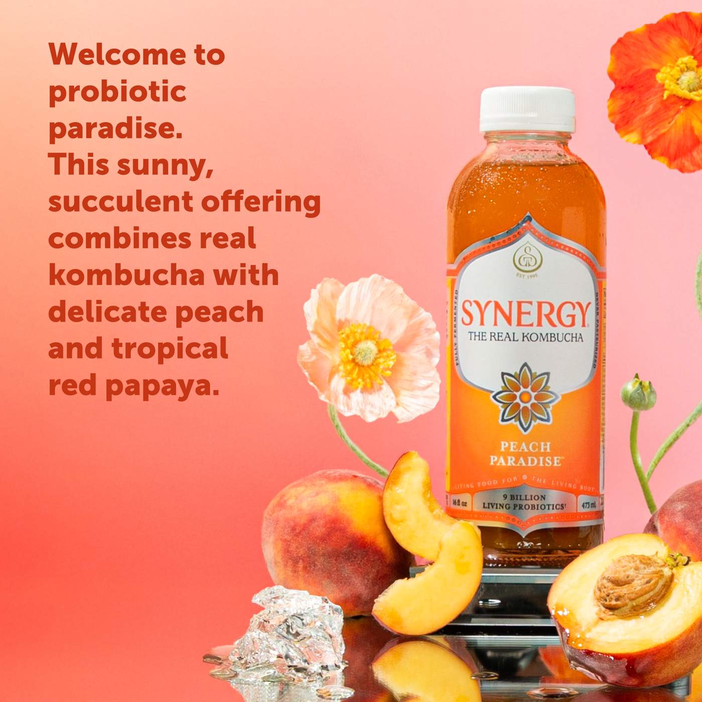 GT's Synergy Peach Paradise Raw Kombucha; image 2 of 6