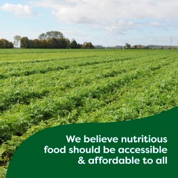Knorr Concentrated Stock Beef