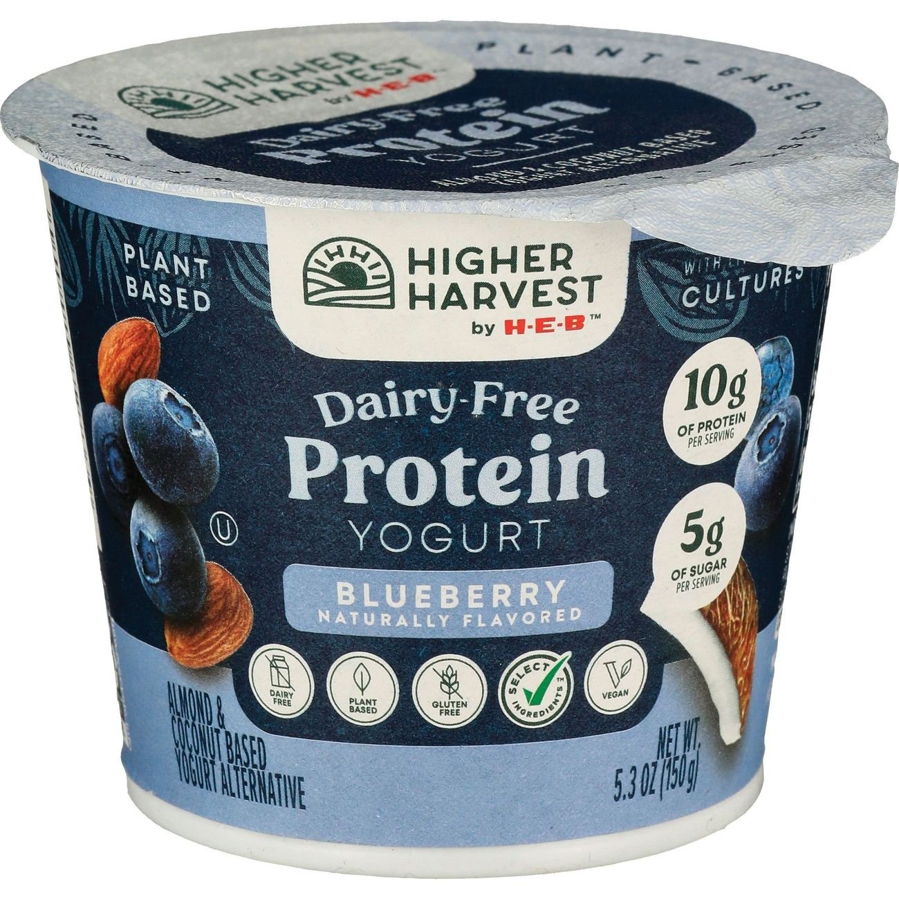 Higher Harvest by H-E-B Dairy Free 10g Protein Yogurt – Blueberry, 5.3 oz